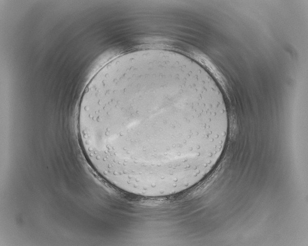 X0000114671386200912021044