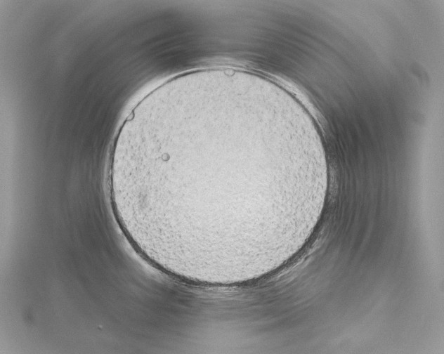 X0000114671387200912021044