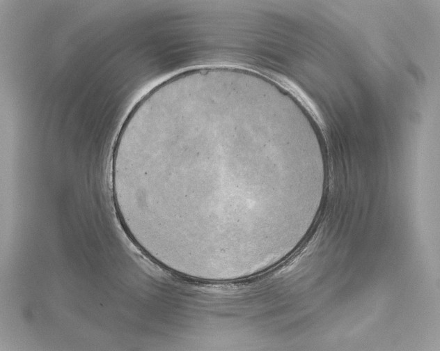 X0000114671388200912021044