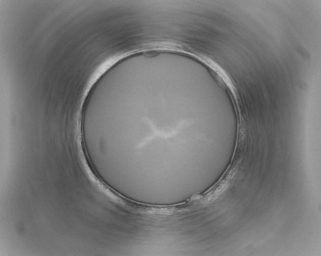 X0000114671389200912021044