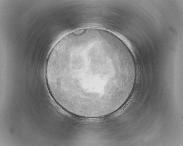 X0000114671390200912021044