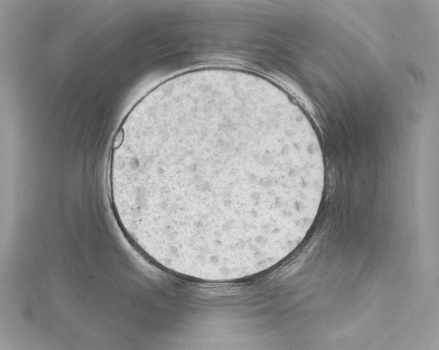 X0000114671391200912021044