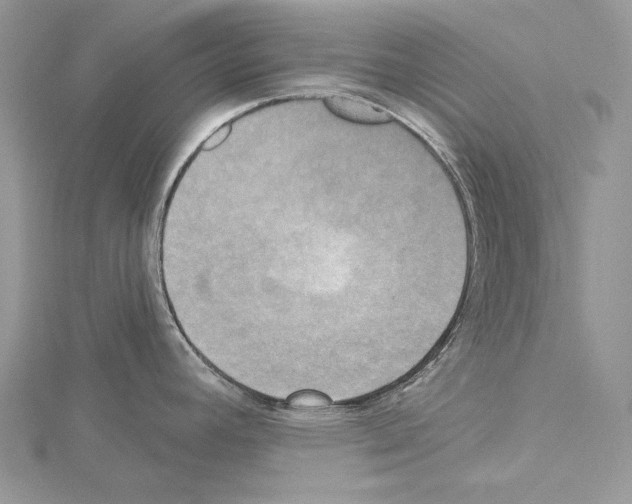 X0000114671392200912021044