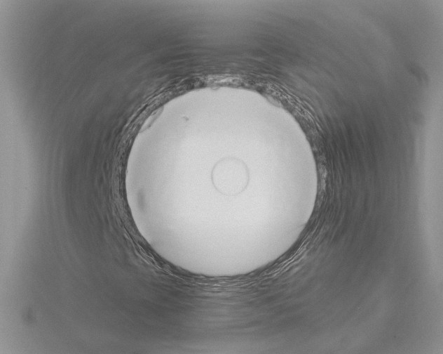 X0000114671393200912021044