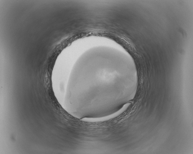 X0000114671398200912021044