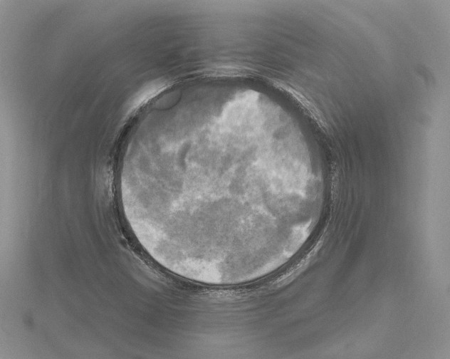 X0000114671402200912021044