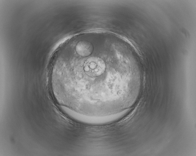 X0000114671406200912021044