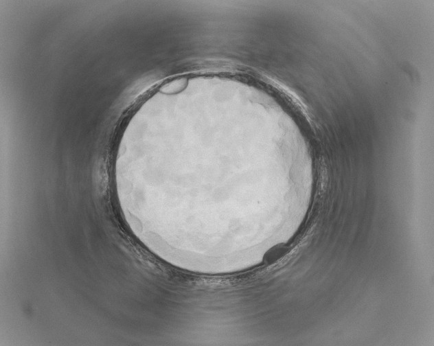 X0000114671407200912021044