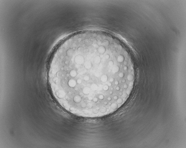 X0000114671408200912021044