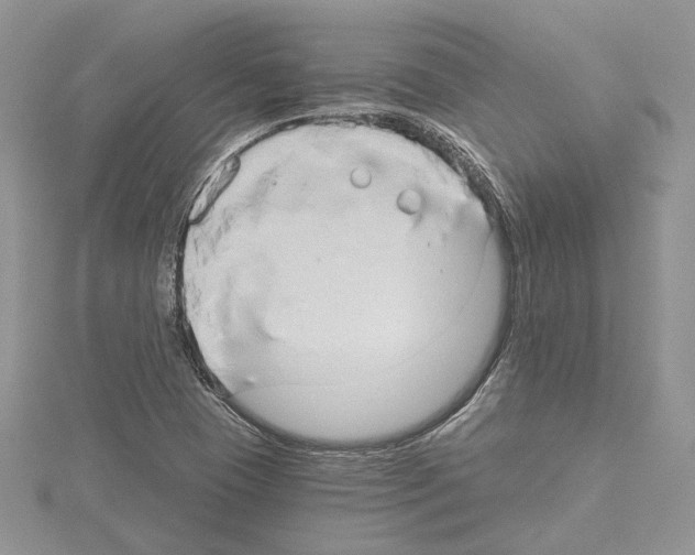 X0000114671409200912021044