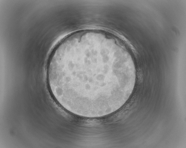 X0000114671416200912021044