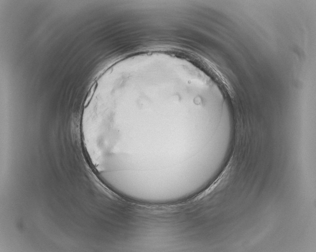 X0000114671417200912021044