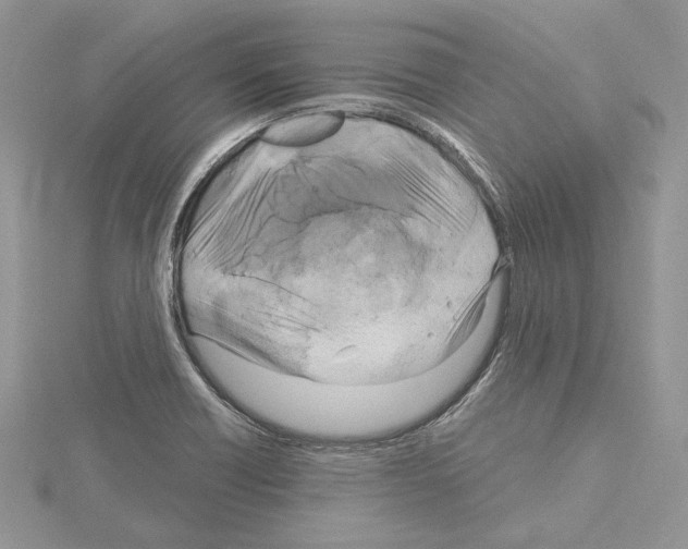 X0000114671418200912021044