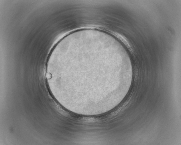 X0000114671420200912021044