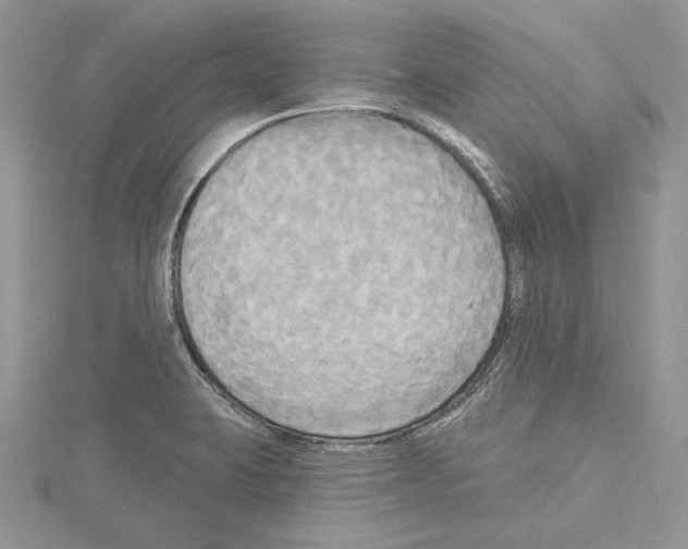 X0000114671423200912021044