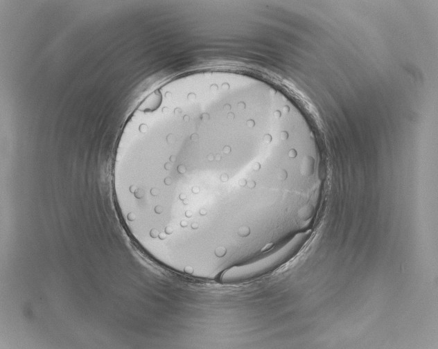 X0000114671425200912021044