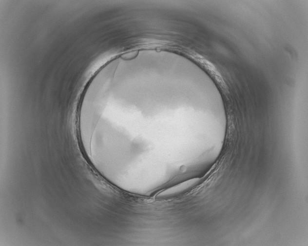 X0000114671427200912021044