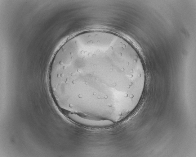 X0000114671429200912021044