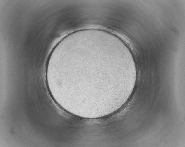 X0000114671430200912021044