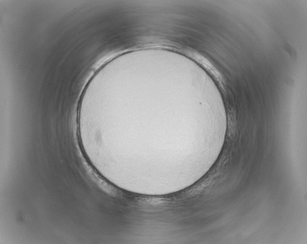 X0000114671431200912021044