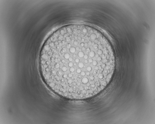 X0000114671432200912021044