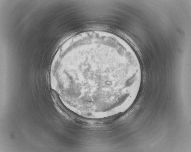 X0000114671433200912021044