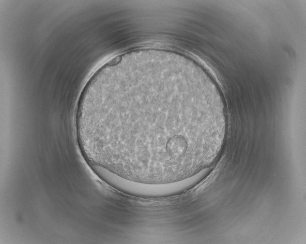 X0000114671434200912021044