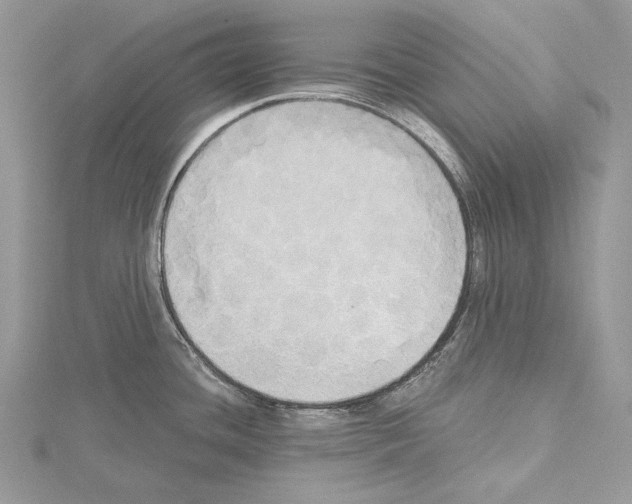 X0000114671436200912021044