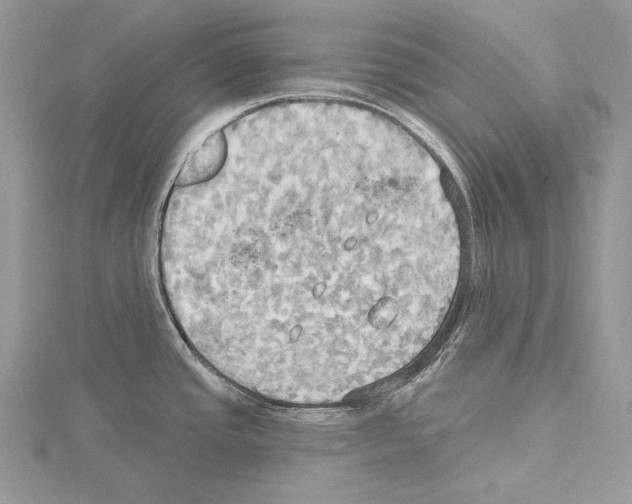 X0000114671437200912021044