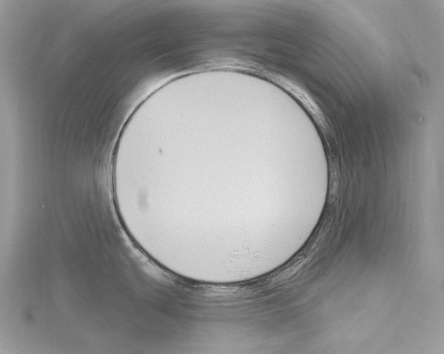 X0000114671439200912021044