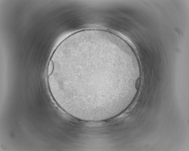 X0000114671440200912021044