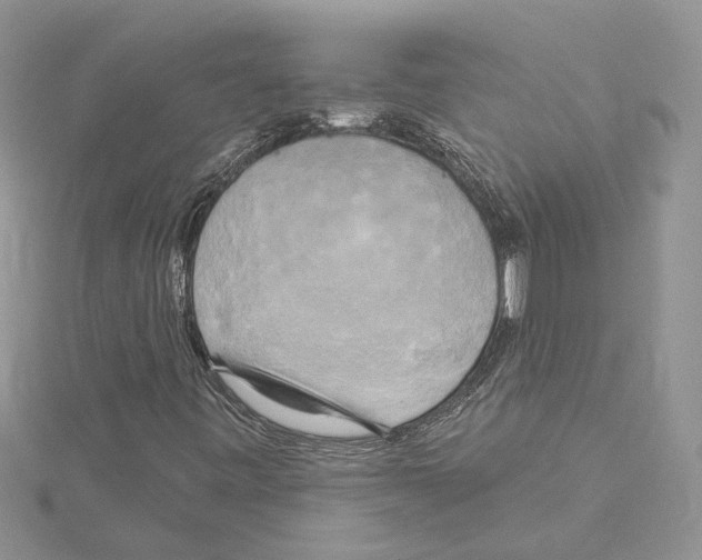 X0000114671443200912021044