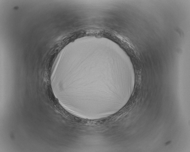 X0000114671445200912021043