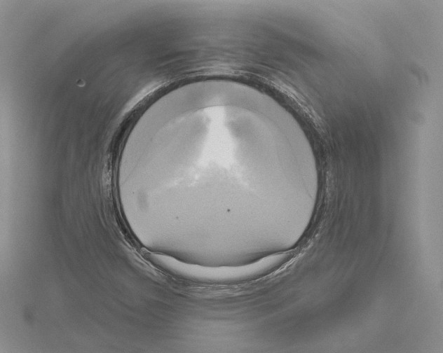 X0000114671450200912021043