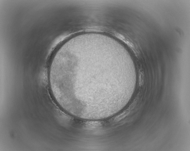 X0000114671454200912021043