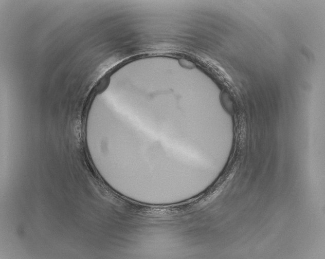 X0000114671457200912021043