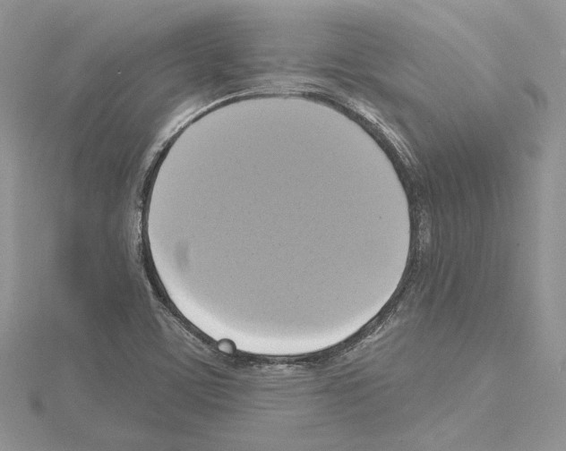 X0000114671459200912021043