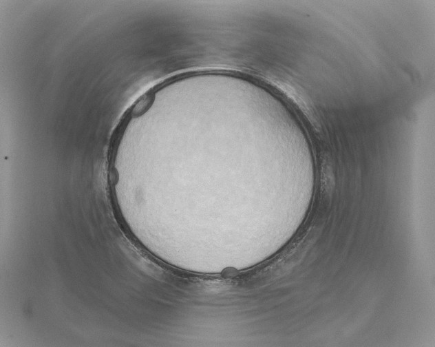 X0000114671460200912021043