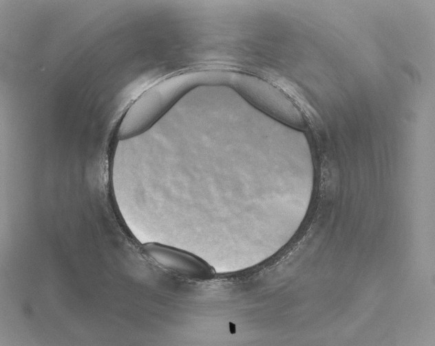 X0000114671461200912021043