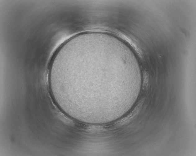 X0000114671462200912021043