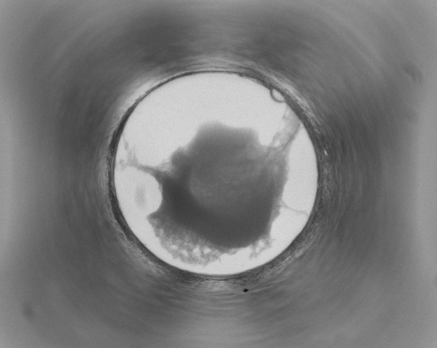 X0000114671463200912021043