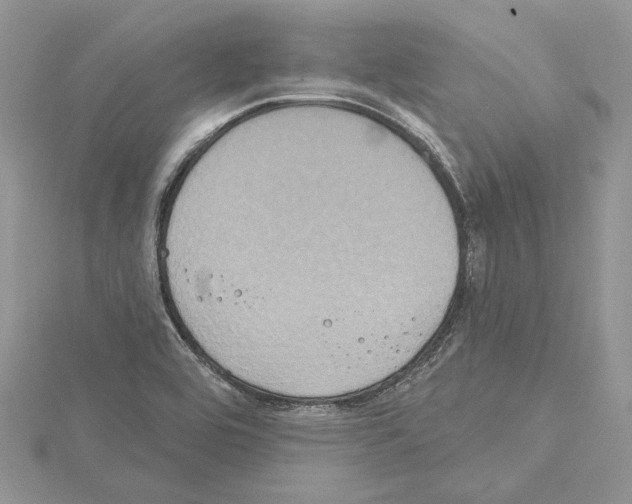 X0000114671464200912021043