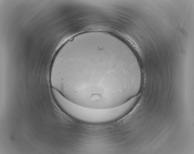 X0000114671465200912021043