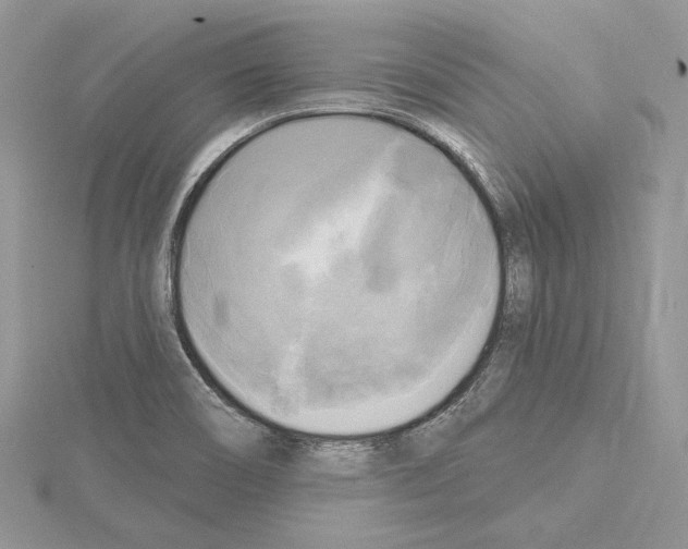 X0000114671466200912021043