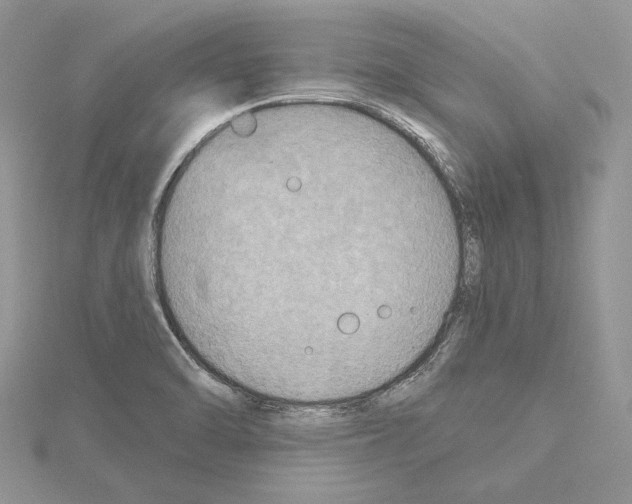 X0000114671470200912021043