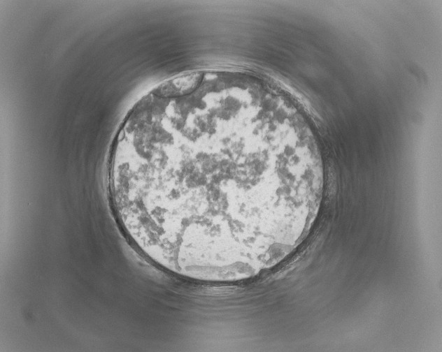 X0000114671471200912021043