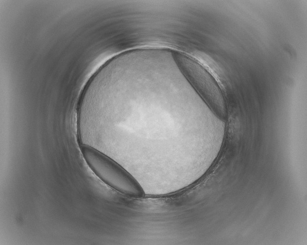 X0000114671476200912021043