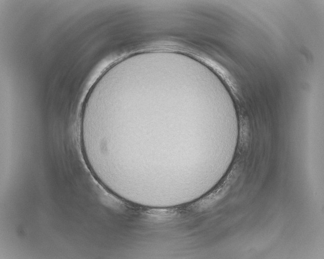 X0000114671478200912021043