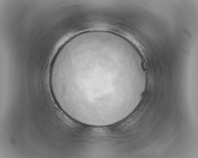 X0000114671480200912021043