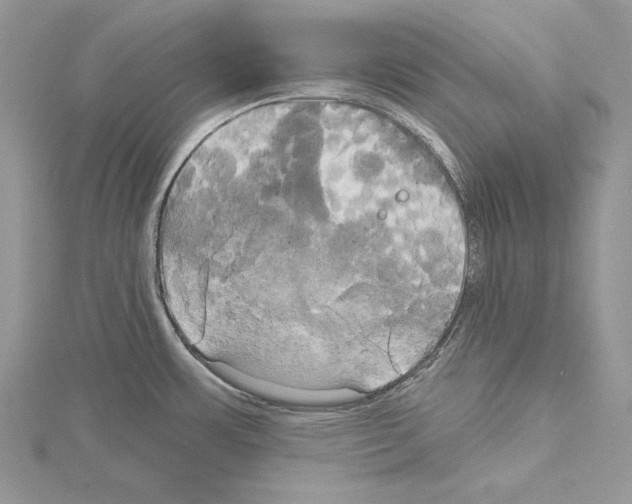 X0000114671483200912021043